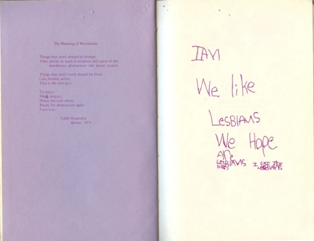 Dykes for an Amerikan Revolution - The Meaning of Revolution