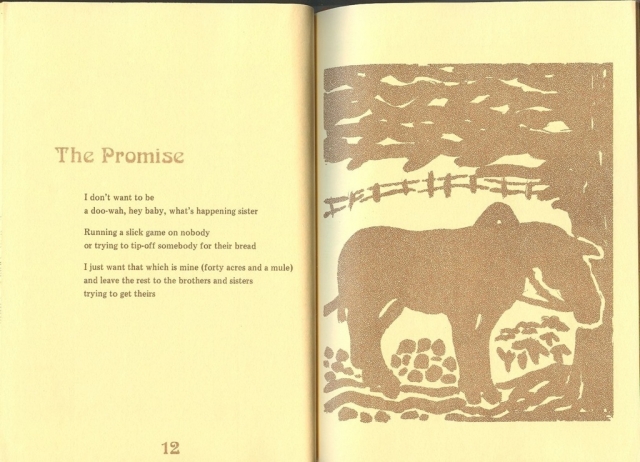 Forty Acres And A Mule - The Promise